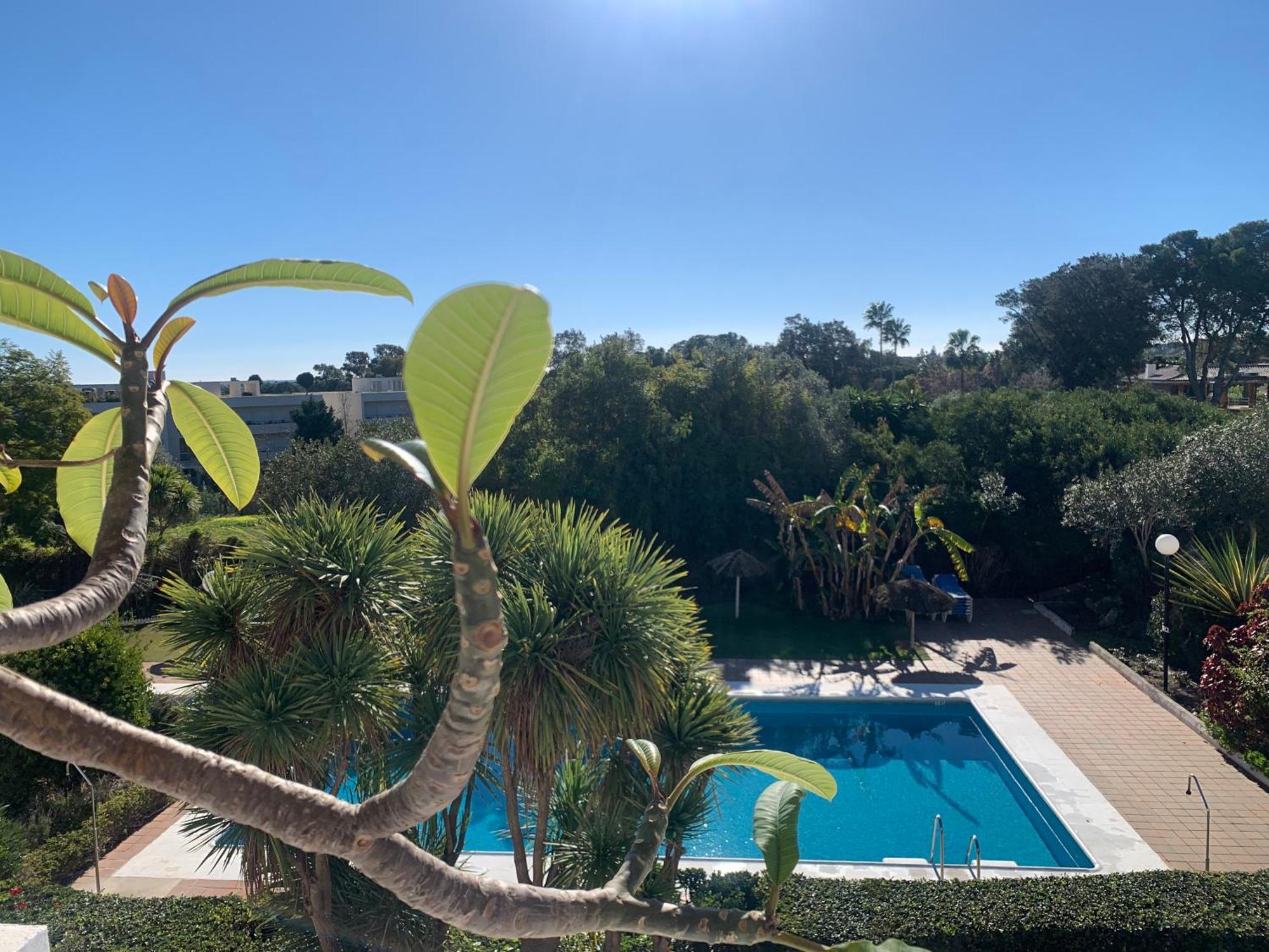 Duplex Near Polo, Pool View, 2 Pools, Full South, 7 Drive To Beaches And Port
